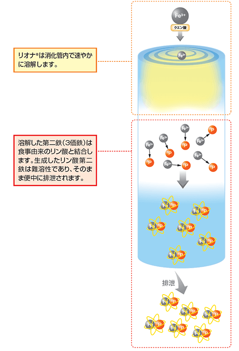 えんどう 薬理・病態・薬物治療 I, II 病態・薬物治療 - yakugaku lab